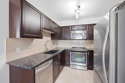 1408-6118 80 Avenue Ne, Calgary, AB - Indoor Photo Showing Kitchen With Double Sink With Upgraded Kitchen