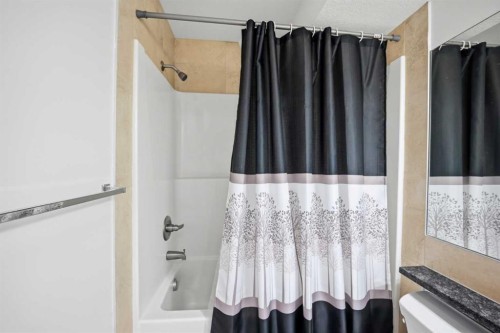 1408-6118 80 Avenue Ne, Calgary, AB - Indoor Photo Showing Bathroom