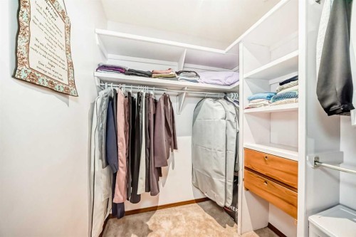 232 Macewan Ridge Close Nw, Calgary, AB - Indoor With Storage