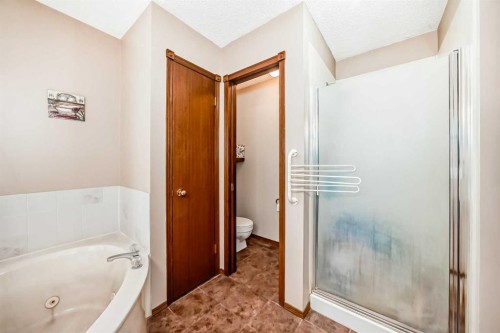232 Macewan Ridge Close Nw, Calgary, AB - Indoor Photo Showing Bathroom