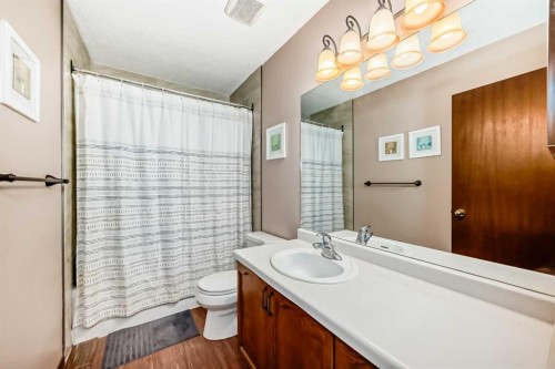 232 Macewan Ridge Close Nw, Calgary, AB - Indoor Photo Showing Bathroom