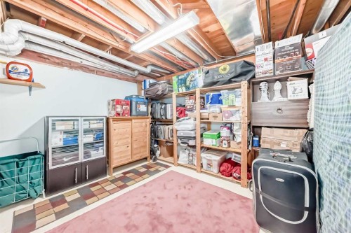 232 Macewan Ridge Close Nw, Calgary, AB - Indoor Photo Showing Basement