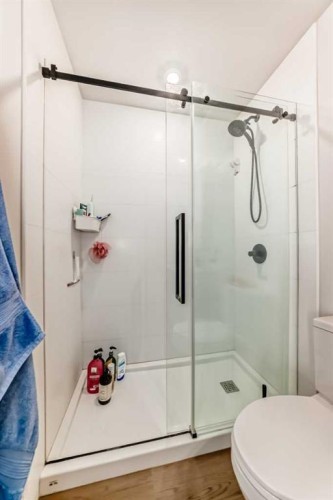 310-1107 Gladstone Road Nw, Calgary, AB - Indoor Photo Showing Bathroom