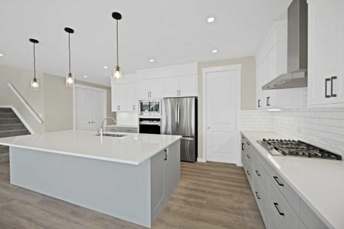 846 Chelsea Village South, Chestermere, AB - Indoor Photo Showing Kitchen With Upgraded Kitchen