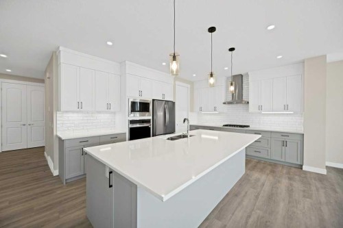 846 Chelsea Village South, Chestermere, AB - Indoor Photo Showing Kitchen With Double Sink With Upgraded Kitchen