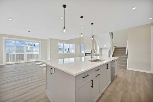 846 Chelsea Village South, Chestermere, AB - Indoor Photo Showing Kitchen With Double Sink With Upgraded Kitchen