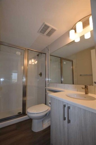 2318-6118 80 Avenue Ne, Calgary, AB - Indoor Photo Showing Bathroom
