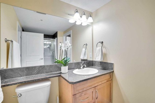 1132-2330 Fish Creek Boulevard Sw, Calgary, AB - Indoor Photo Showing Bathroom