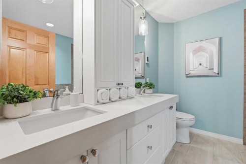 131 Springbank Terrace Sw, Calgary, AB - Indoor Photo Showing Bathroom