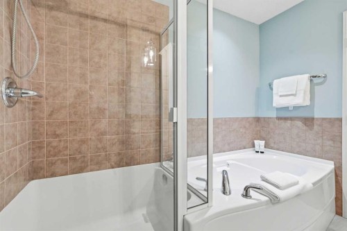 131 Springbank Terrace Sw, Calgary, AB - Indoor Photo Showing Bathroom