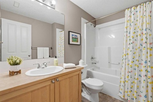 131 Springbank Terrace Sw, Calgary, AB - Indoor Photo Showing Bathroom