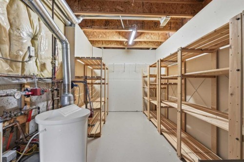 131 Springbank Terrace Sw, Calgary, AB - Indoor Photo Showing Basement