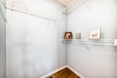 142 Auburn Bay Heights Se, Calgary, AB - Indoor With Storage