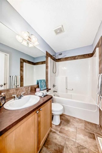 142 Auburn Bay Heights Se, Calgary, AB - Indoor Photo Showing Bathroom