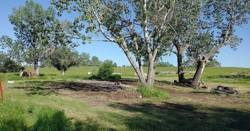 153009 Rr 274, Rural Willow Creek No. 26, M.D. Of, AB - Outdoor With View
