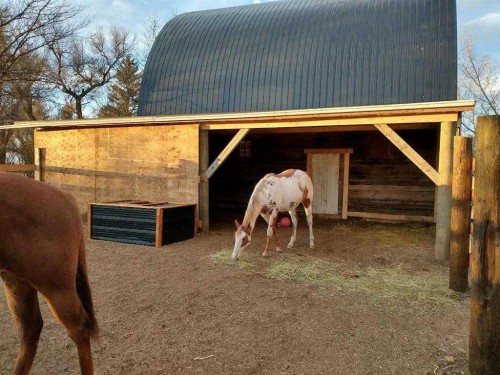 153009 Rr 274, Rural Willow Creek No. 26, M.D. Of, AB - Outdoor