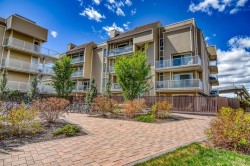 202-3727 42 Street NW Calgary, AB T3A 2W3