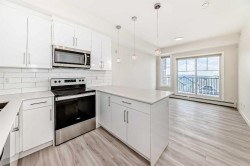 2406-15 Skyview Point Crescent  Calgary, AB T3N 2T1