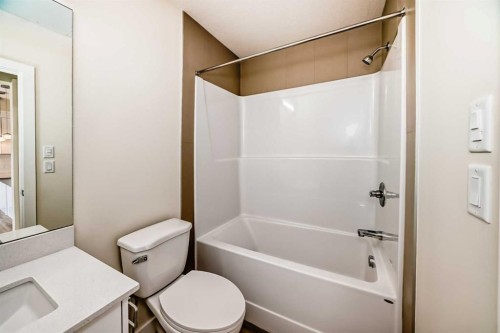 2406-15 Skyview Point Crescent, Calgary, AB - Indoor Photo Showing Bathroom