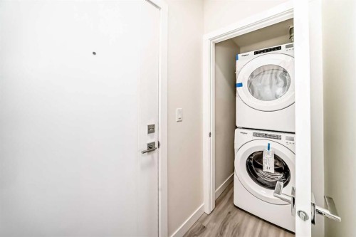2406-15 Skyview Point Crescent, Calgary, AB - Indoor Photo Showing Laundry Room
