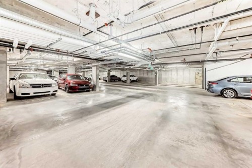 2406-15 Skyview Point Crescent, Calgary, AB - Indoor Photo Showing Garage