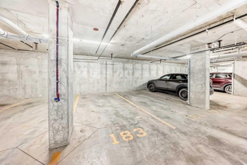 2406-15 Skyview Point Crescent, Calgary, AB - Indoor Photo Showing Garage