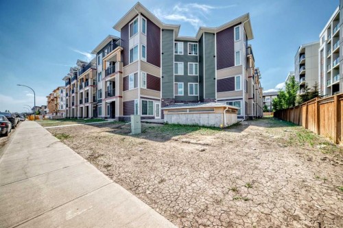 2406-15 Skyview Point Crescent, Calgary, AB - Outdoor