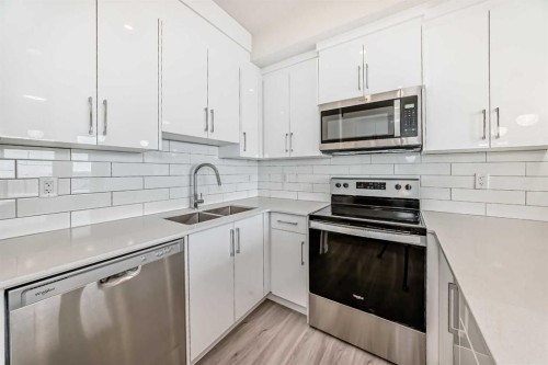 2406-15 Skyview Point Crescent, Calgary, AB - Indoor Photo Showing Kitchen With Stainless Steel Kitchen With Double Sink With Upgraded Kitchen