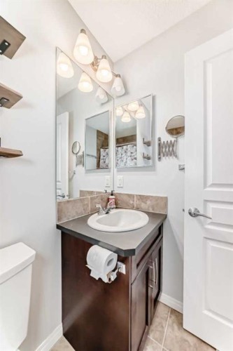 50 Elgin Meadows Park Se, Calgary, AB - Indoor Photo Showing Bathroom