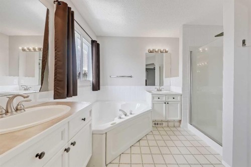 36 Mt Selkirk Close Se, Calgary, AB - Indoor Photo Showing Bathroom
