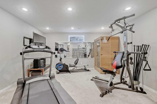 36 Mt Selkirk Close Se, Calgary, AB - Indoor Photo Showing Gym Room
