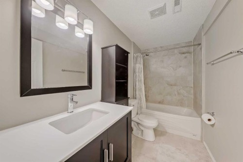 36 Mt Selkirk Close Se, Calgary, AB - Indoor Photo Showing Bathroom