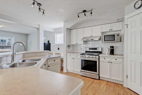 36 Mt Selkirk Close Se, Calgary, AB - Indoor Photo Showing Kitchen With Double Sink