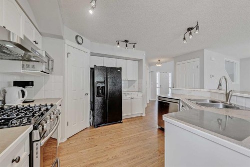 36 Mt Selkirk Close Se, Calgary, AB - Indoor Photo Showing Kitchen With Double Sink With Upgraded Kitchen