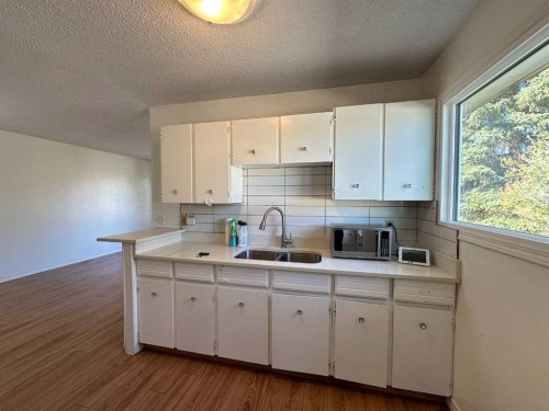 121 Huntford Close Ne, Calgary, AB - Indoor Photo Showing Kitchen With Double Sink