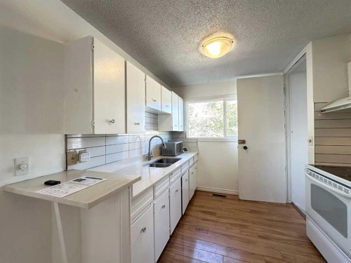 121 Huntford Close Ne, Calgary, AB - Indoor Photo Showing Kitchen With Double Sink