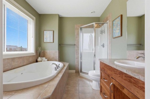 1605 Montgomery Way Se, High River, AB - Indoor Photo Showing Bathroom