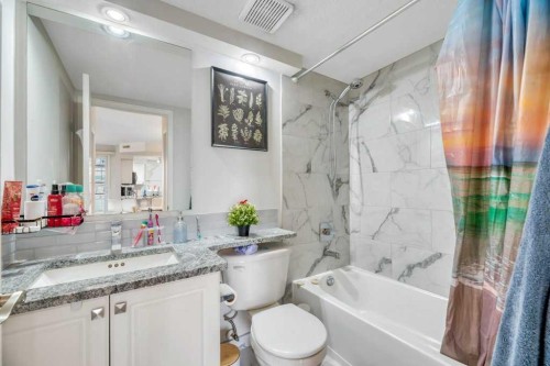 701-683 10 Street Sw, Calgary, AB - Indoor Photo Showing Bathroom