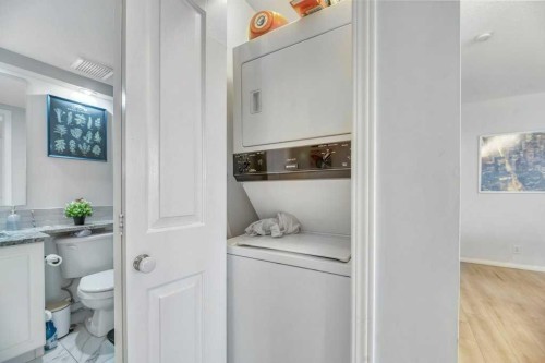 701-683 10 Street Sw, Calgary, AB - Indoor Photo Showing Laundry Room