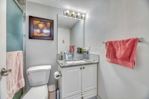 701-683 10 Street Sw, Calgary, AB - Indoor Photo Showing Bathroom