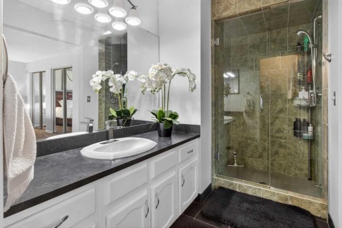 348 Midlake Boulevard Se, Calgary, AB - Indoor Photo Showing Bathroom