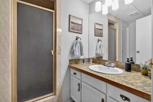 348 Midlake Boulevard Se, Calgary, AB - Indoor Photo Showing Bathroom