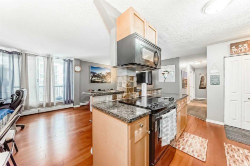 501-1312 13 Avenue Sw, Calgary, AB - Indoor Photo Showing Kitchen