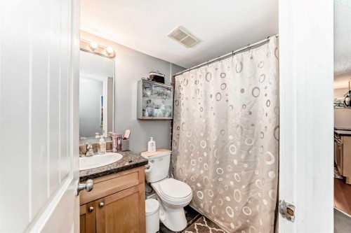 501-1312 13 Avenue Sw, Calgary, AB - Indoor Photo Showing Bathroom
