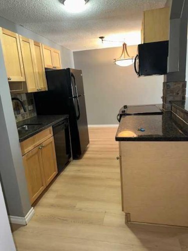 501-1312 13 Avenue Sw, Calgary, AB - Indoor Photo Showing Kitchen