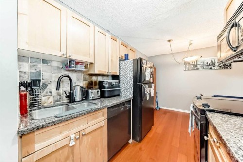 501-1312 13 Avenue Sw, Calgary, AB - Indoor Photo Showing Kitchen
