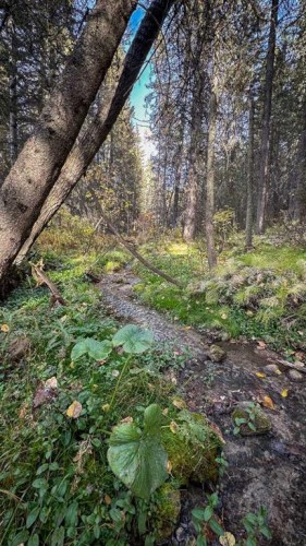 23-5227 Township Road 320, Rural Mountain View County, AB 