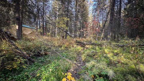 23-5227 Township Road 320, Rural Mountain View County, AB 
