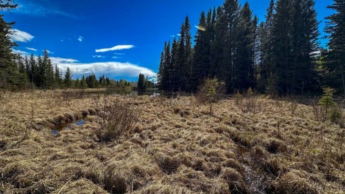 23-5227 Township Road 320, Rural Mountain View County, AB 