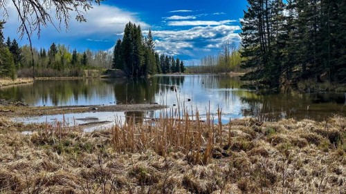 23-5227 Township Road 320, Rural Mountain View County, AB 